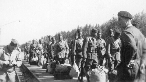 Algerian troops